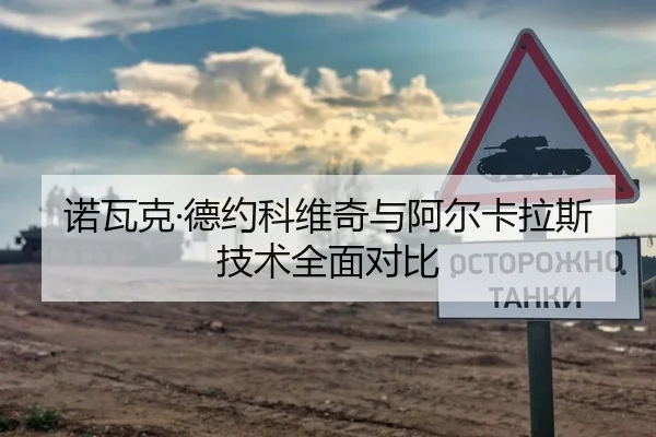 诺瓦克·德约科维奇与阿尔卡拉斯技术全面对比